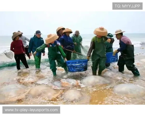 台风过后惠州赶海潮涌，市民满载而归，惠州赶海退潮每天的时间表