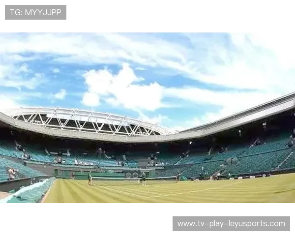 职业网球运动员针对草地场地特点调整击球点位（182 ）